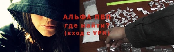 ECSTASY Баксан