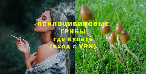 мет Балахна